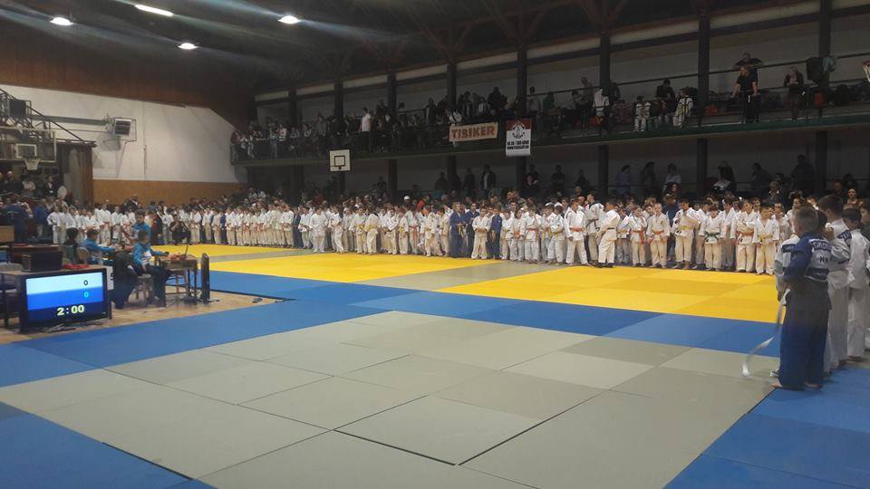 judo