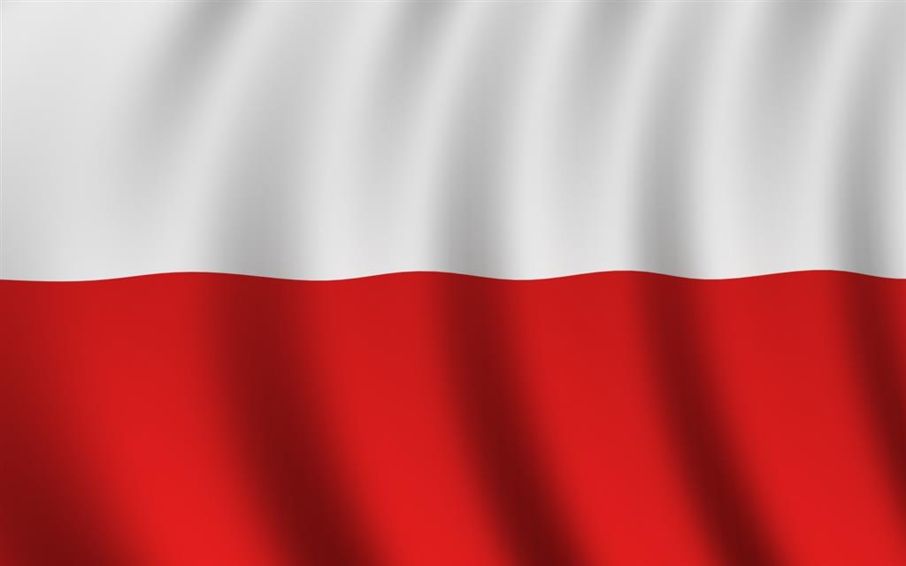 808233 poland flag