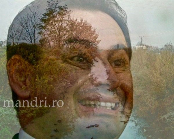 Falcă se vrea dus cu pluta 1 falca canal cu mandri