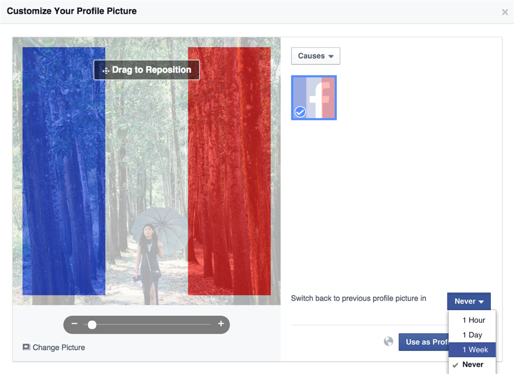 Rețeaua de socializare Facebook, criticată pentru că a activat funcția "Safety Check" doar după atentatele de la Paris 1 fb france filter Custom