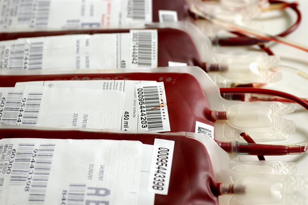 o BLOOD TRANSFUSION facebook
