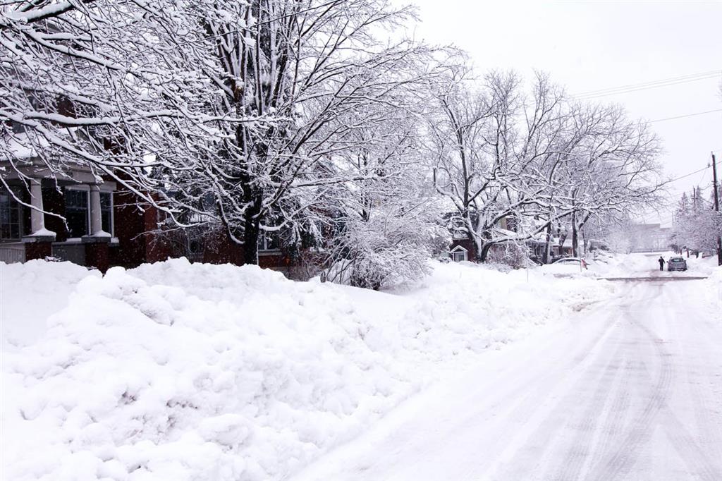 Nord-vestul Mexicului înregistrează cele mai abundente ninsori din ultimii 50 de ani 1