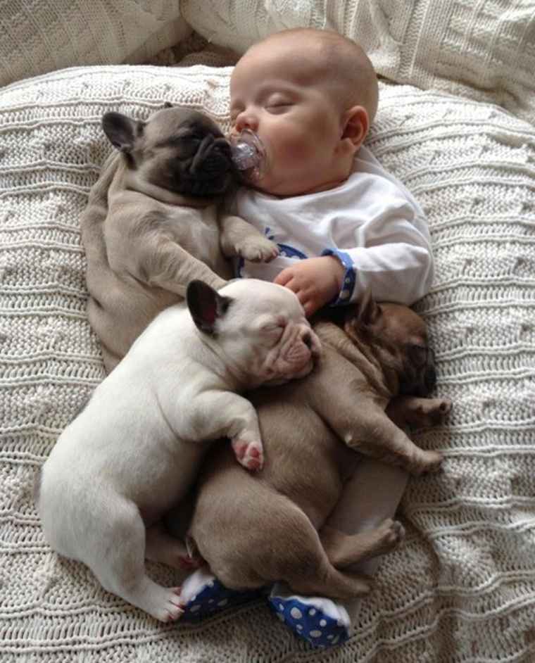 puppies sleeping with baby