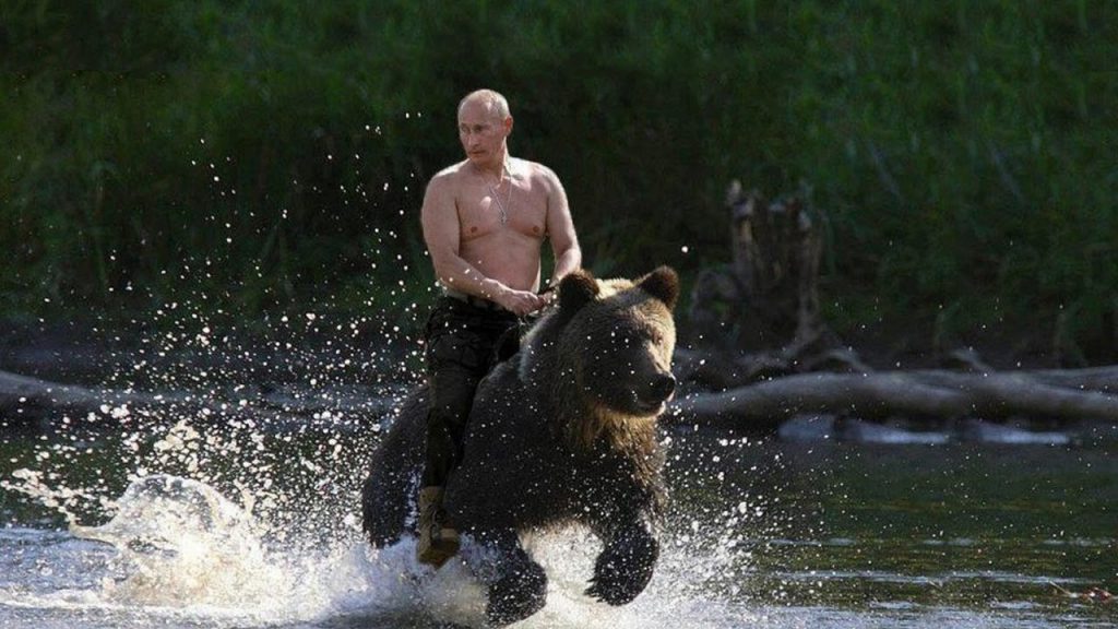 vladimir putin riding a bear real putin riding a bear