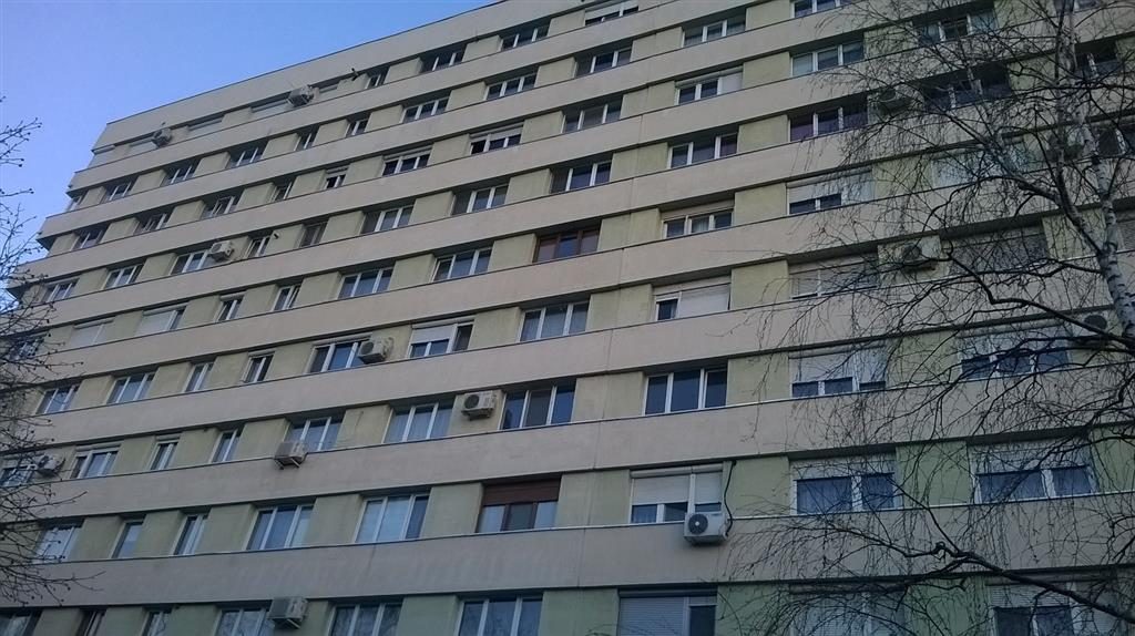 Filmul arădean „Libelula” acceptat de altcineAction! 1 wp 20150224 001