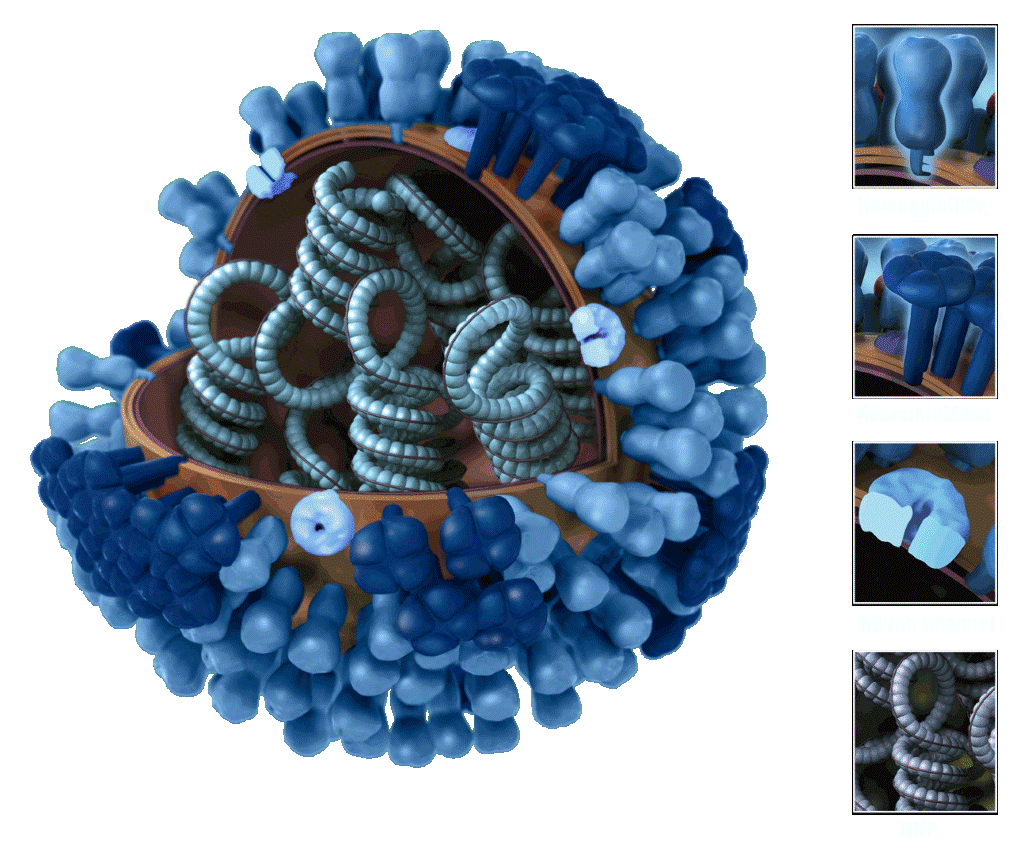 3D Influenza transparent key pieslice lrg2