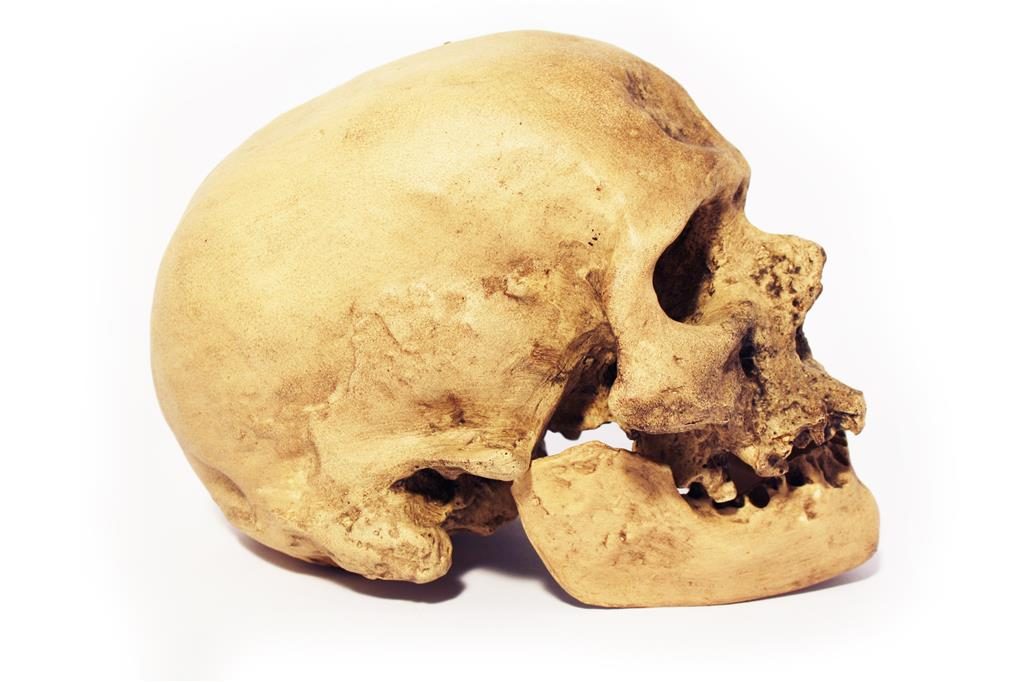 Cum a apărut omul? O nouă ipoteză lansată de fizicieni 1 Homo sapiens