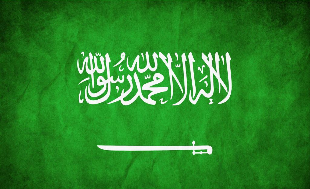 Steag Arabia Saudita www.oriens.ro