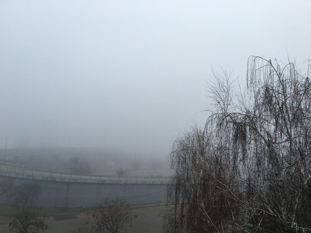 Aradul sub cod galben de ceata 1 image