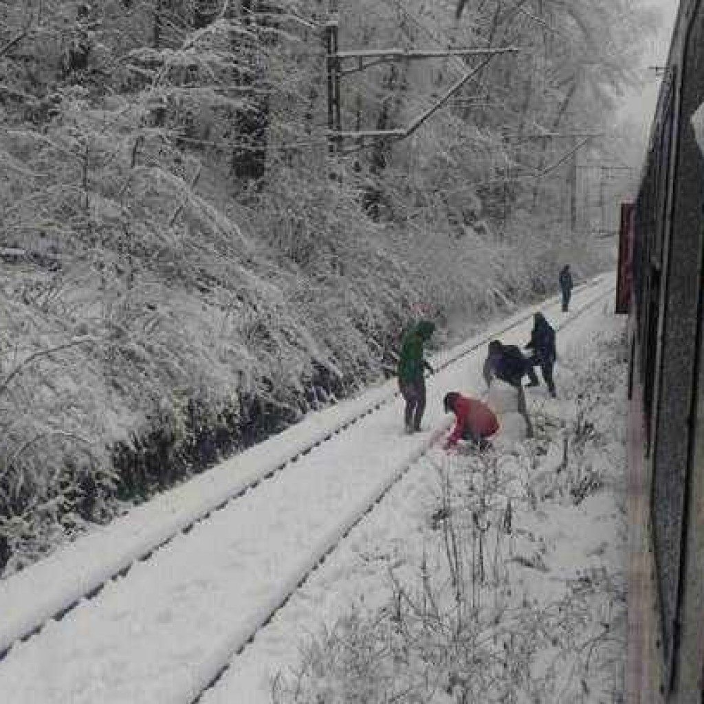 tren zapada bucuresti satu mare 2