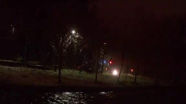 Un copil de 11 ani a murit după ce a căzut dintr-un copac 1 ior