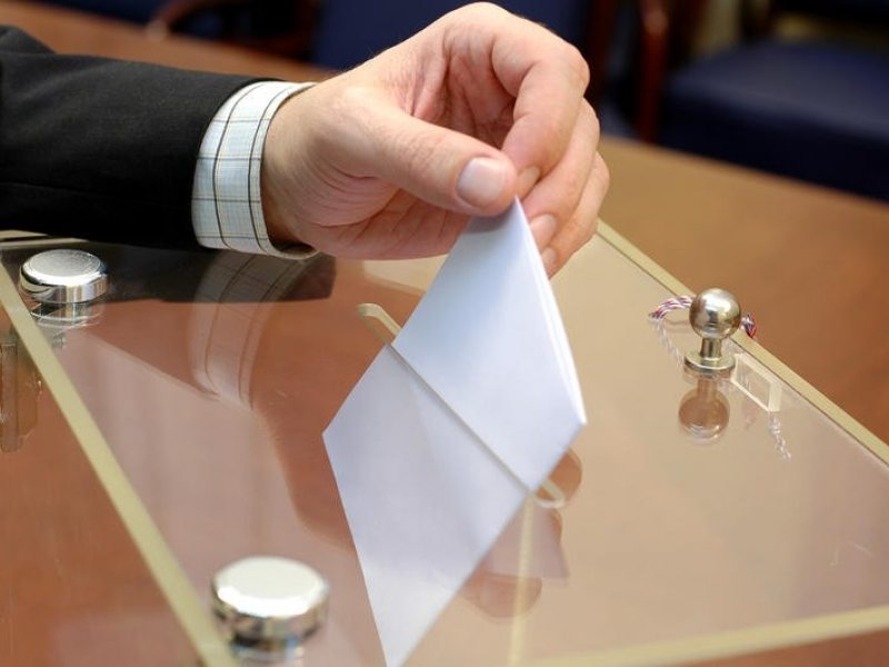 puiu hasotti pnl va propune sistemul de vot german
