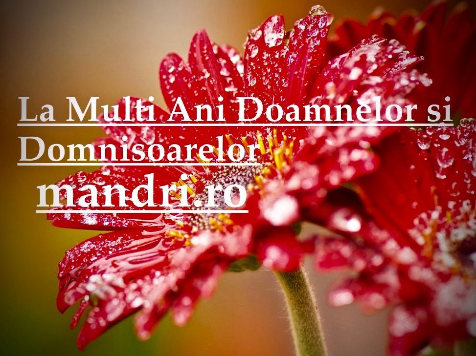 8 Martie: Ziua Internațională a Femeii 1 EM4B9038