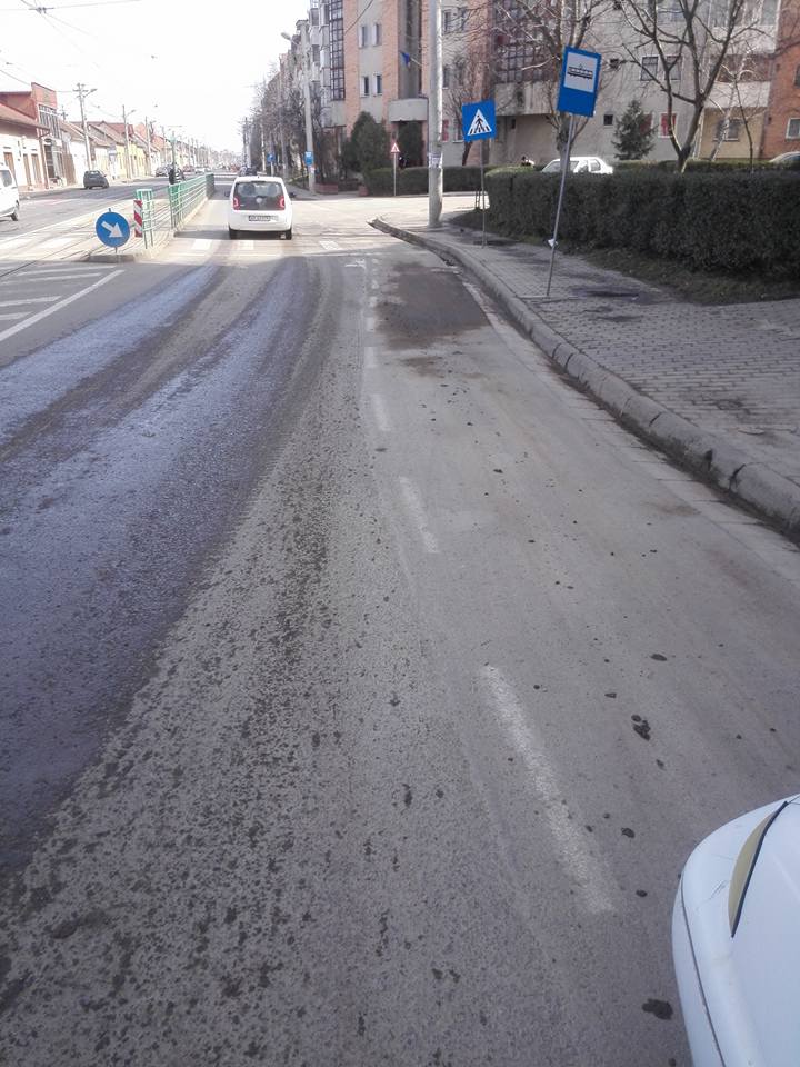 Arădeni nemulțumiți: Primăria își bate joc de Curățenia de Primăvară 1 curatenie