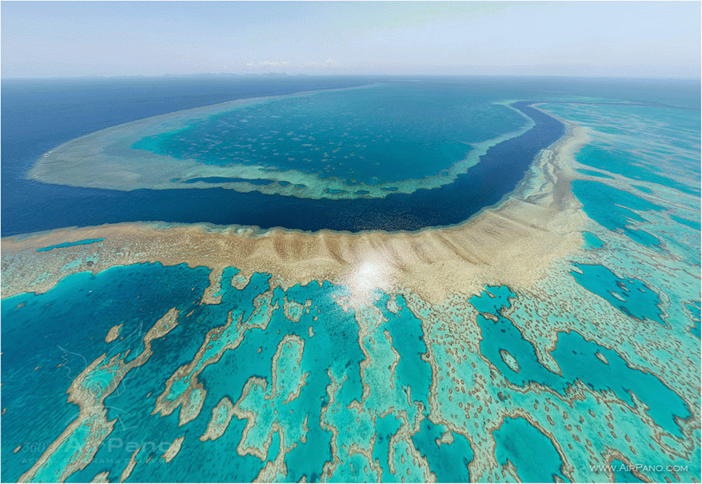 great barrier reef