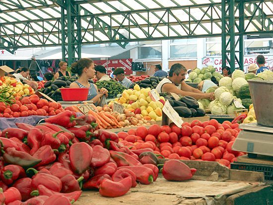 Municipalitatea plănuiește să cumpere teren pentru o piață nouă 1 piata