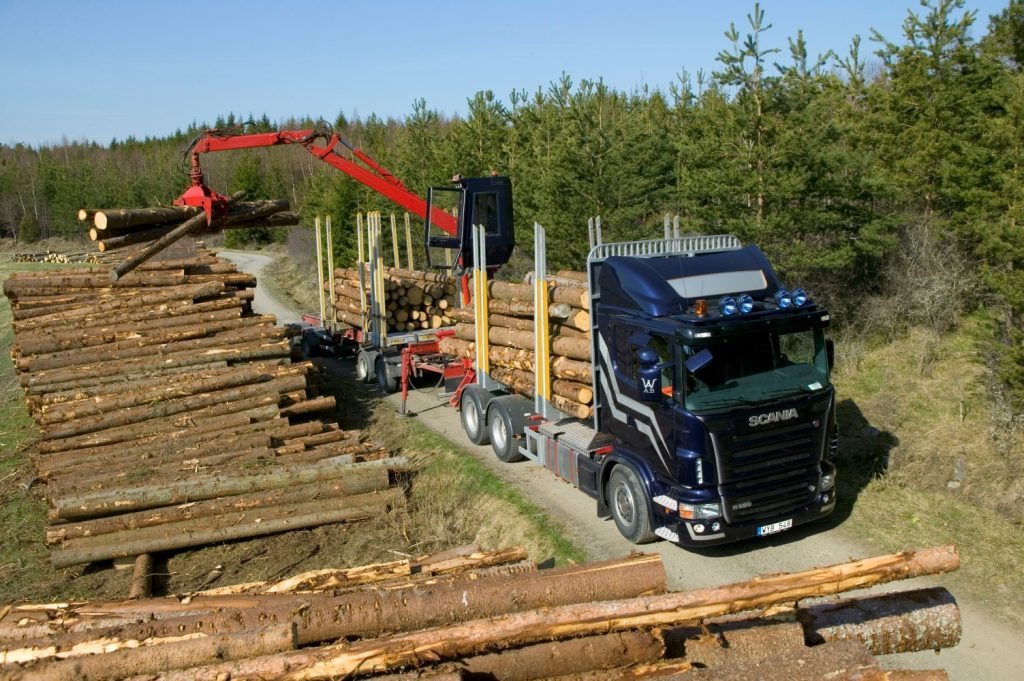 transport lemn Custom