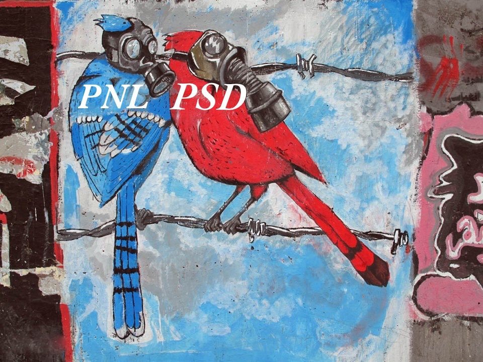 Mogulii electorali înainte de judecata arădenilor 1 IMG 0439