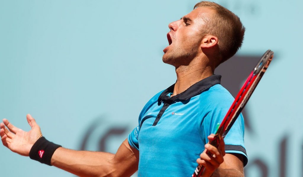 Marius Copil