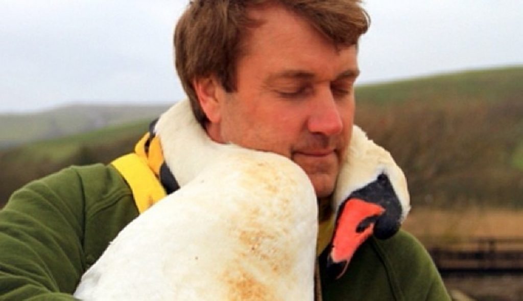 FOTO: "Îmbrățișarea" plină de afecțiune a unei lebede după ce a fost salvată 1 image Custom