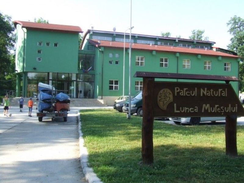 Turismul și exploatarea de lemn în pădurea Ceala - concluziile dezbaterii publice 1 lunca