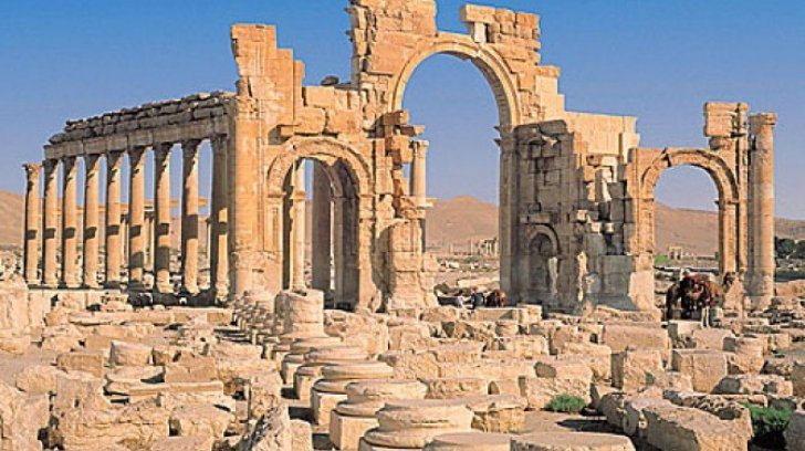 palmyra a 43816200 21666300