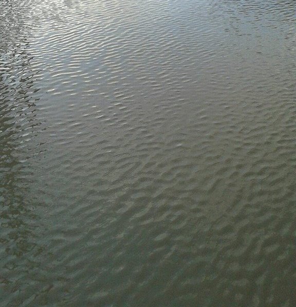 Pompierii arădeni intervin în forţă pe strada Baba Novac 1 pancot inundatii 1