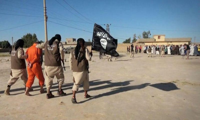 ISIS 520162