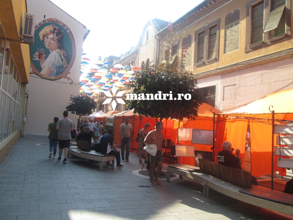 Strada Meţianu a prins culoare şi viaţă FOTO 1 metianu