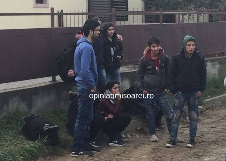 Migranţii au ajuns în apropiere de Arad FOTO VIDEO 1 migranti dumbravita 2