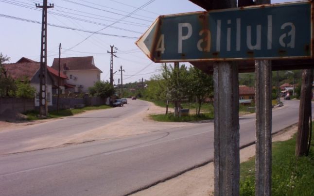 palilula