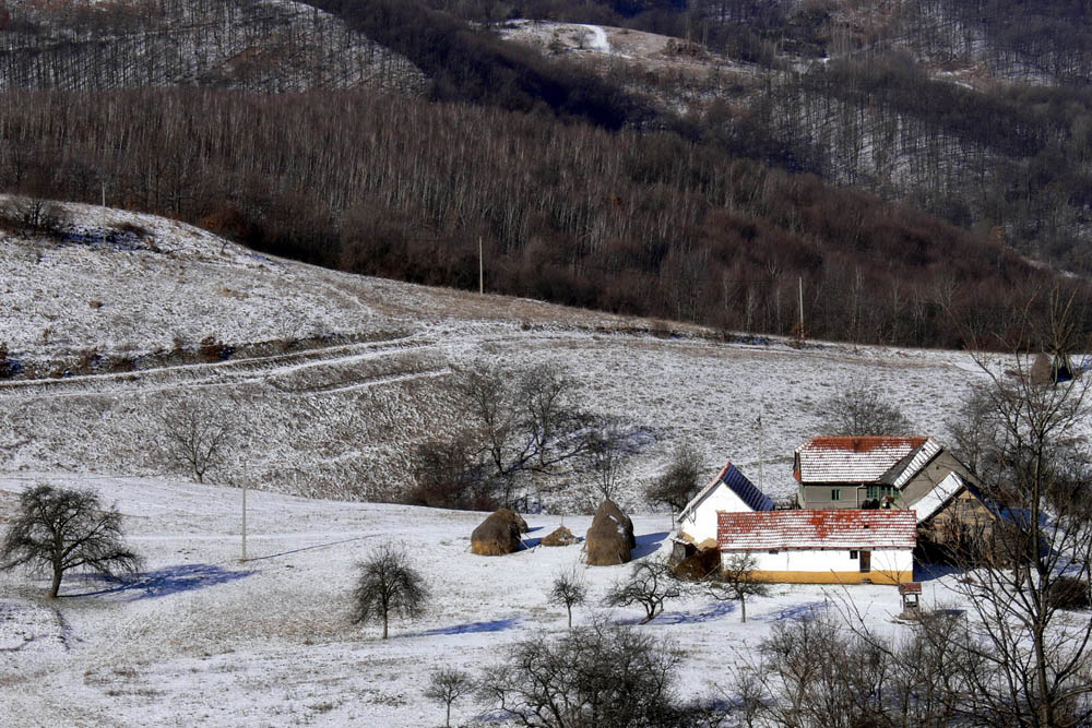 9. Vasoaia iarna Cresta Gheorghe