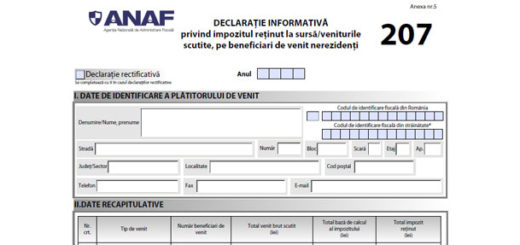 formular 207