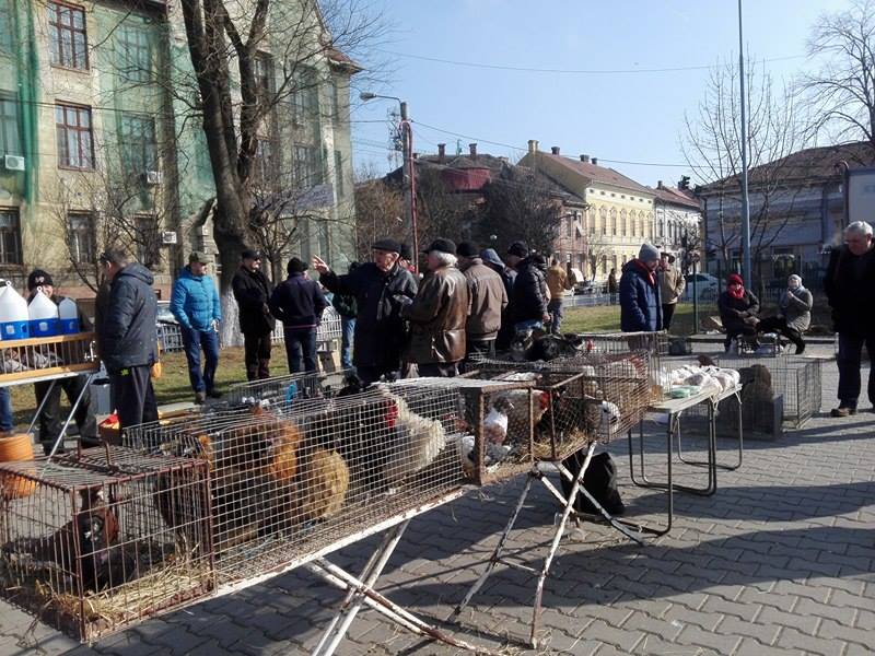 Piaţa „Hobby” a adunat sute de arădeni (FOTO) 1 paita 4