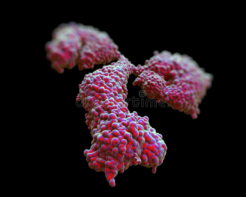 immunoglobulin g antibody molecular model igg y shaped protein produced b lymphocyte 45503289