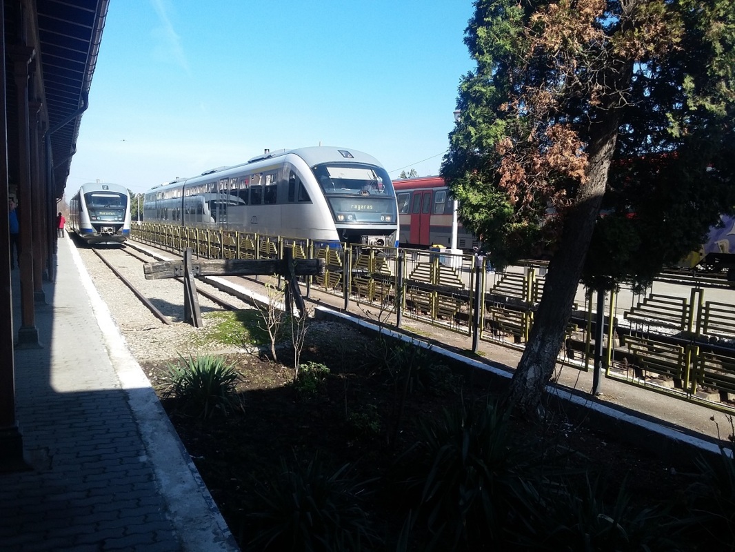 2017 03 22 0 1 protest cfr un tren international si alte cinci nationale oprite in statii in judetul sibiu 39011