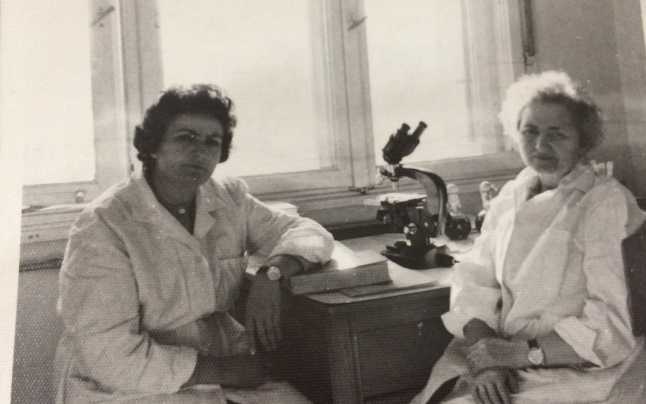Medicul Sylvia Hoişie, „mama Polidinului“, vorbeşte în premieră despre noul coronavirus: „În viaţa mea nu m-am spălat atât de des pe mâini“ 2 b5c71ecffe857865ce1fc1e611461529 8